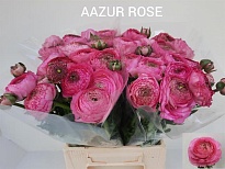 Лютик Aazur Rose 10шт