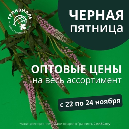 Черная пятница