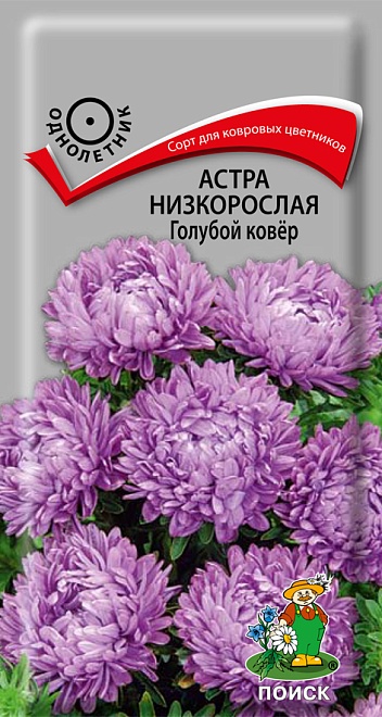 Астра низкорослая Голубой ковёр 0,2г /Поиск