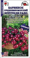 Барвинок Бургунди Гало среднеземноморский ампел. 7шт /ЗС