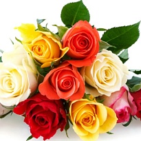 Роза Joyfer Roses Mix дл.50 25шт