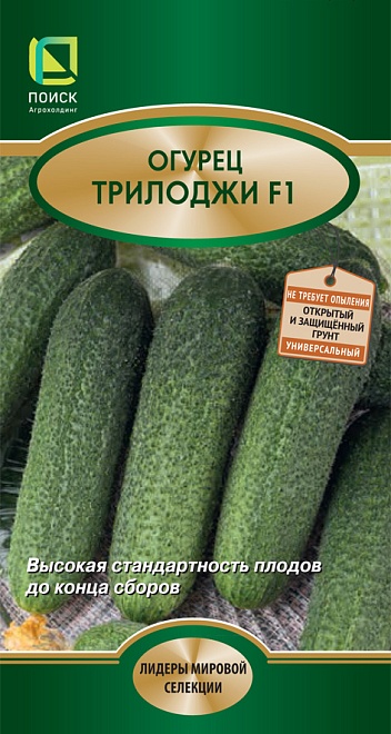 Огурец Трилоджи F1 партенокарп. раннесп. 10шт /Поиск