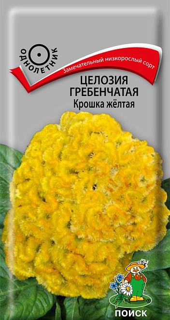 Целозия гребенчатая Крошка жёлтая 0,1гр /Поиск