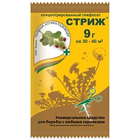 Стриж 9г