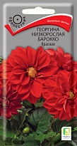 Георгина низкорослая Барокко Красная 0,1г /Поиск