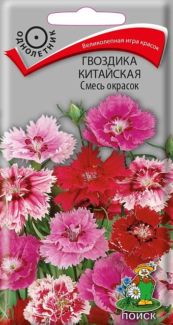 Гвоздика китайская Микс 0,25г /Поиск