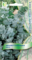 Эвкалипт серебряный Бинго 5шт /Поиск
