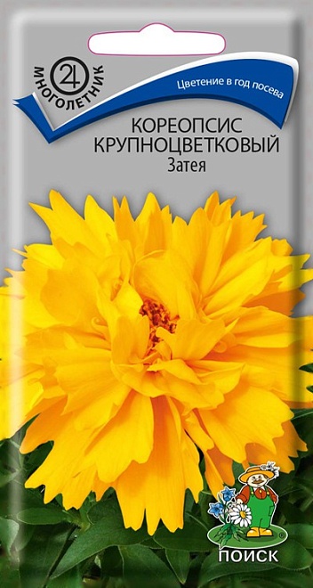 Кореопсис Затея крупноцв. 0,05г /Поиск