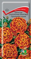 Бархатцы (Тагетес) Оранжевое пламя откл. махр. 0,4г /Поиск