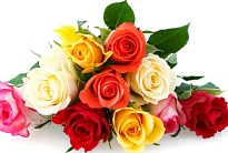 Роза Infinity Roses Mix дл.50 25шт