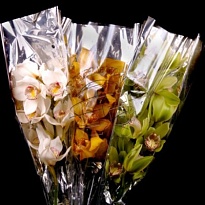 Орхидея Cymbidium Stem Mix дл.50 *12 1шт