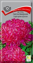 Астра пионовидная Седая Дама красная 0,3г /Поиск