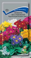 Примула Крупноцветковая смесь бесстеб. 0,04г /Поиск