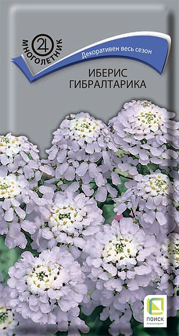 Иберис Гибралтарика 0,1г /Поиск