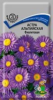 Астра альпийская Фиолетовая 0,04г /Поиск