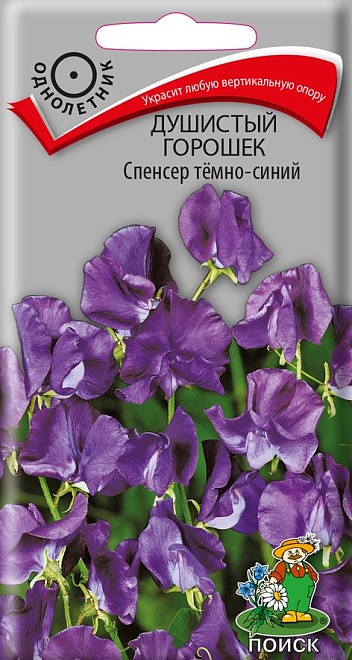 Душистый горошек Спенсер тёмно-синий 1г /Поиск