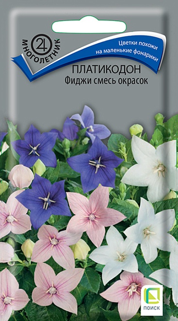 Платикодон Фиджи смесь окрасок 25шт /Поиск