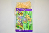 Рябчик (Fritillaria) Ува Вульпис 6/8 10шт*