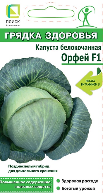 Капуста белокоч. Орфей F1 позднесп. 0,2г /Поиск