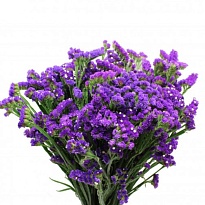 Статица Endles Spring Farms  Purple дл.L 5шт