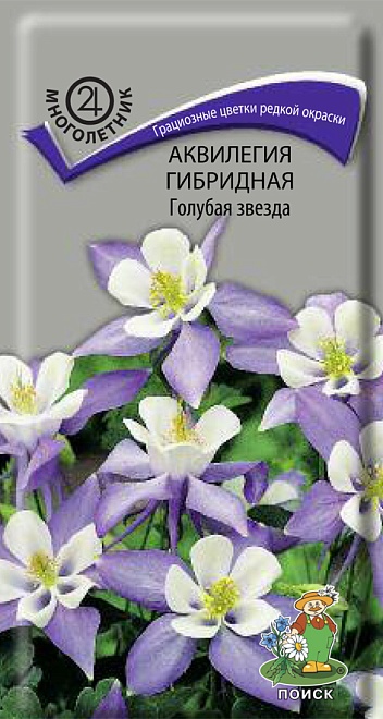 Аквилегия гибридная Голубая звезда 0,05г /Поиск