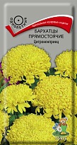 Бархатцы (Тагетес) Цитроненпринц прямост. 0,4г /Поиск