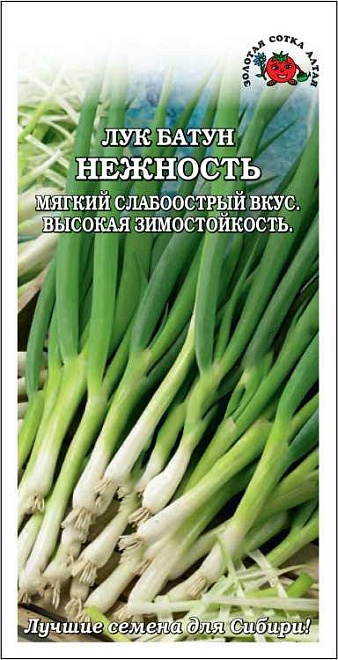 Лук батун Нежность среднесп. 1г /ЗС 