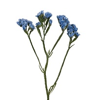 Статица Floricola San Isidro Labrador Florsani Blue дл.70 10шт