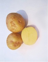 Картофель Златка/элита 2 кг в сетке