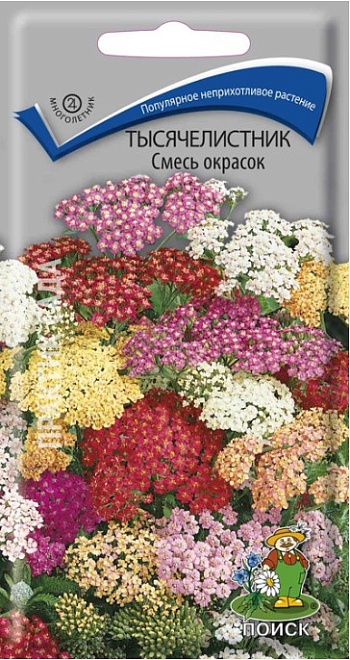 Тысячелистник Смесь окрасок 0,1г /Поиск