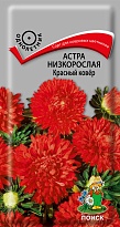 Астра низкорослая Красный ковёр 0,2г /Поиск