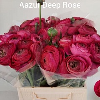 Лютик Aazur Deep Pink 10шт