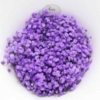 Гипсофилла Purple (К) дл.70 (1000г/уп) 1уп