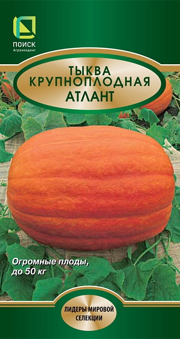 Тыква Атлант среднепозд. 5шт /Поиск