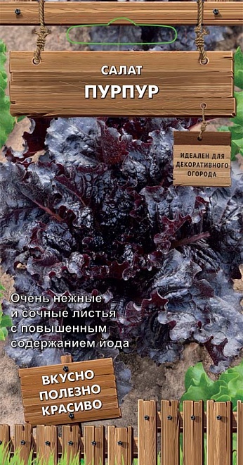 Салат листовой Пурпур 1г /Поиск