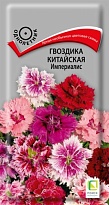 Гвоздика китайская Империалис 0,3г /Поиск