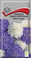 Скабиоза темно-пурпурная Ледяное сердце 10шт /Поиск