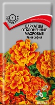 Бархатцы (Тагетес) Квин София откл. махр. 0,4г /Поиск