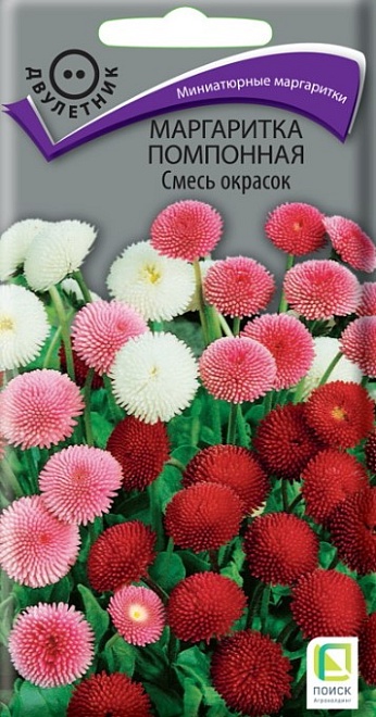 Маргаритка помпонная Смесь окрасок 0,05г /Поиск