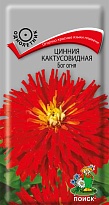 Цинния кактусовидная Бог огня 0,4гр /Поиск