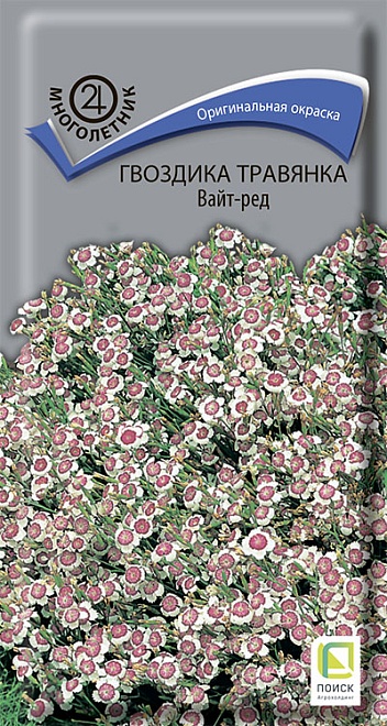 Гвоздика травянка Вайт-Ред 0,1г /Поиск