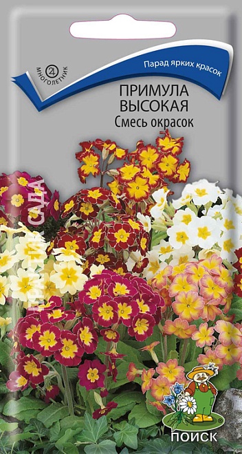 Примула высокая Смесь окрасок 0,01г /Поиск