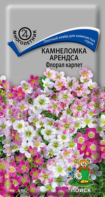 Камнеломка Арендса Флорал карпет 0,01г /Поиск